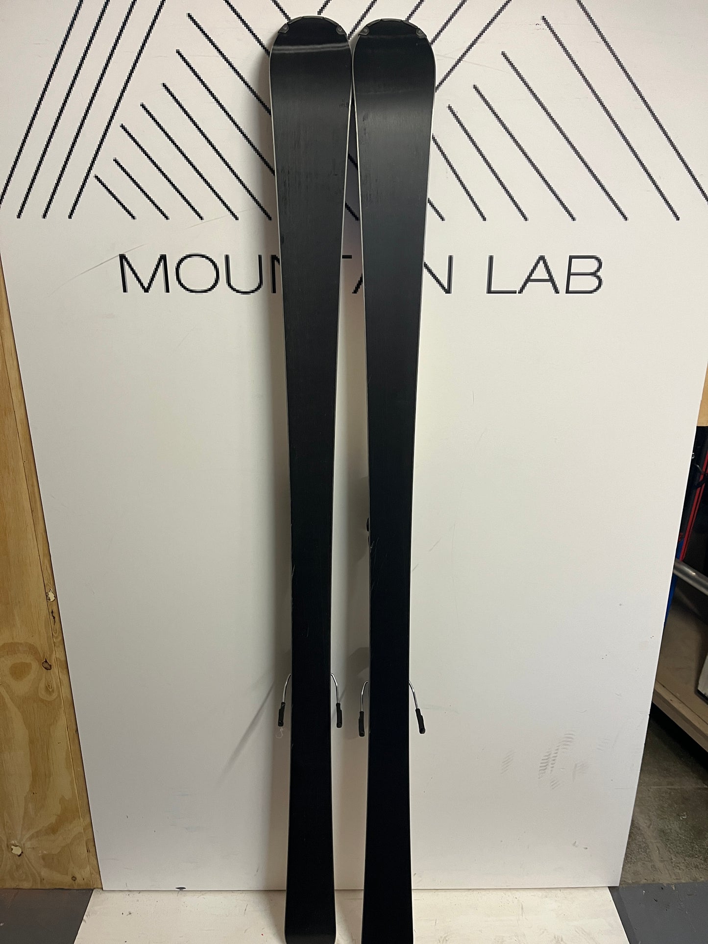 Ski Dynastar Speed 363 - Mountain Lab